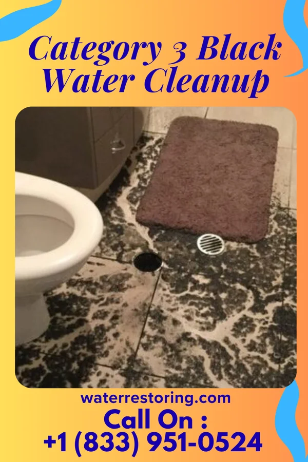 Category 3 Black Water Cleanup in Kentland, IN