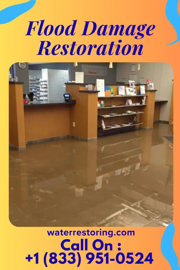 Flood Damage Restoration in Kentland, IN