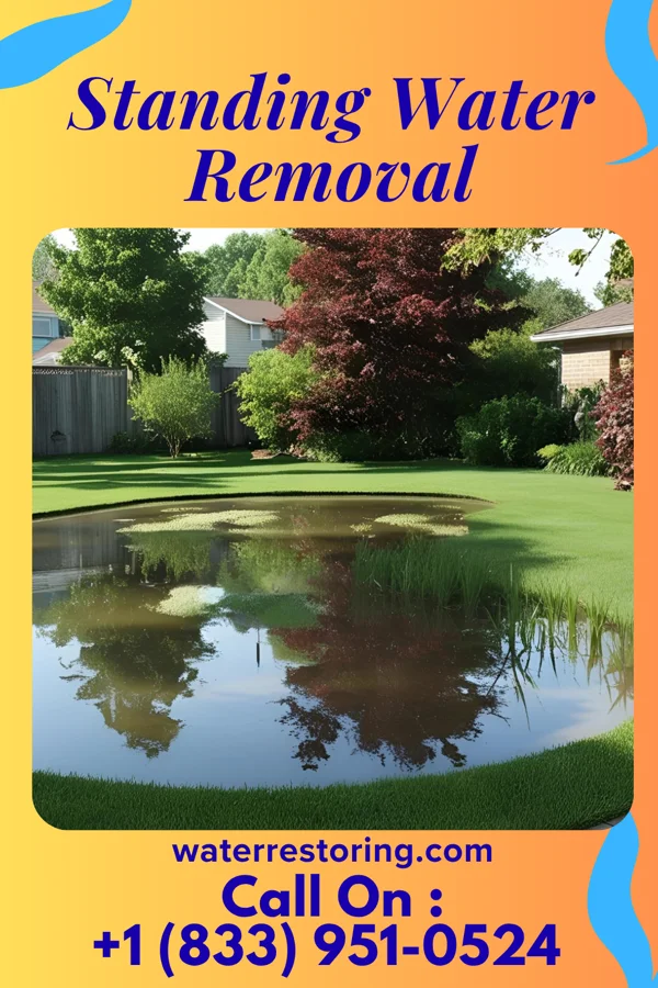 Standing Water Removal in Kentland, IN
